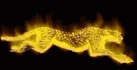 Animations - 352